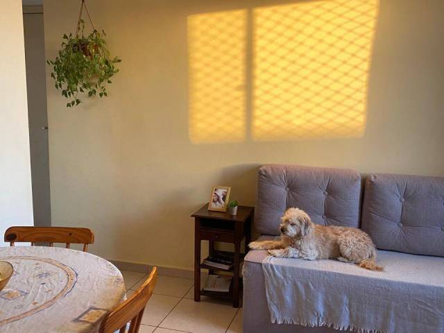 #4287 - Apartamento para Venda em São Paulo - SP - 2