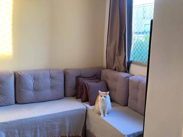 #4287 - Apartamento para Venda em São Paulo - SP - 3