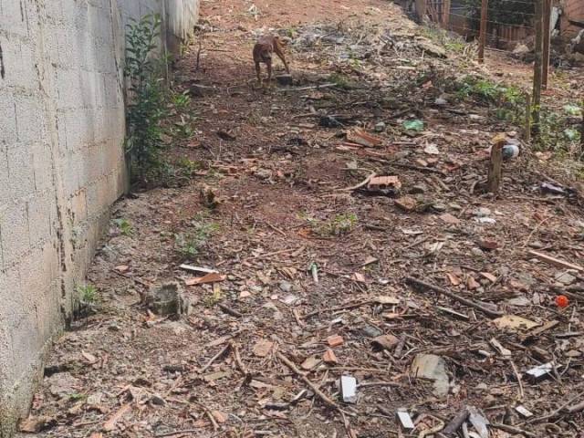 Área para Venda em São Paulo - 4